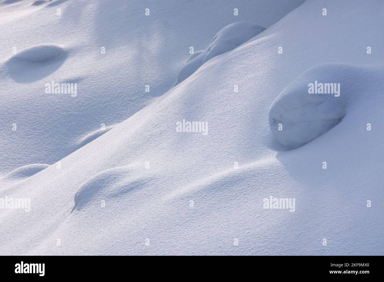 Neve pulita - fondo di neve bianco. Periodo invernale. Foto di alta qualità Foto Stock