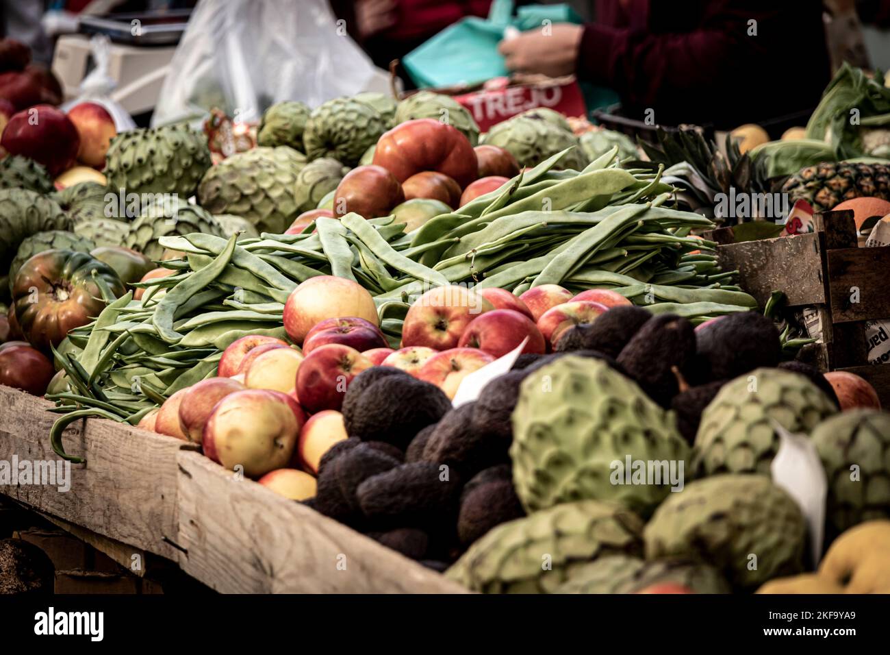 Selezione di frutta in vendita sul mercato Foto Stock Selezione di frutta in vendita sul mercato Foto Stock