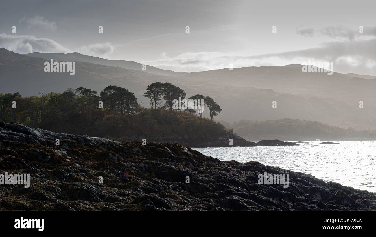 Cielo oscuro con nuvole grigie e nebbia che si innalza a stagliare gli alberi. Splendido paesaggio scozzese, Foto Stock
