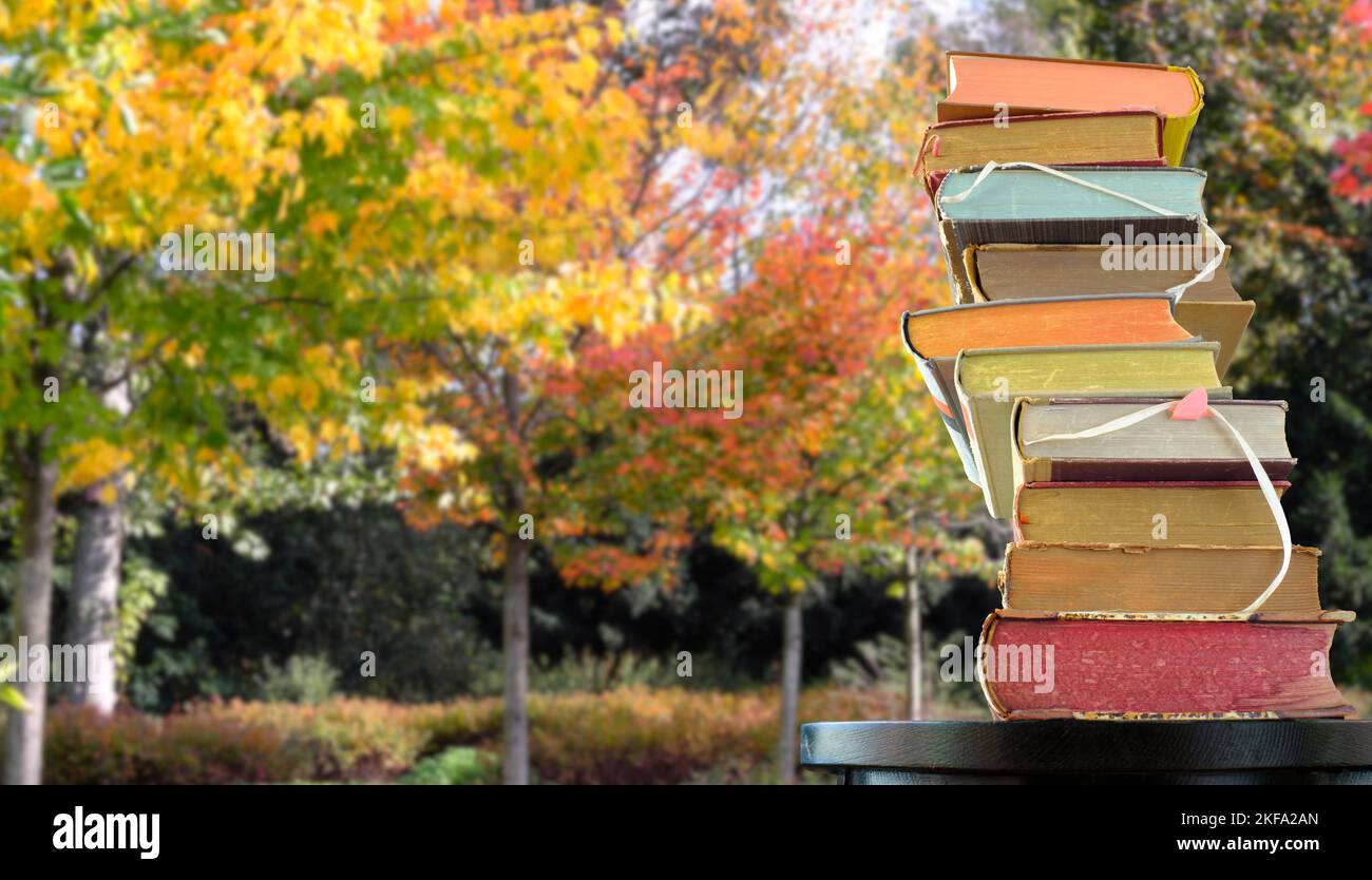 pila di libri contro gli alberi colorati di autunno, ispirazione, lettura, istruzione, concetto di letteratura, spazio libero della copia Foto Stock