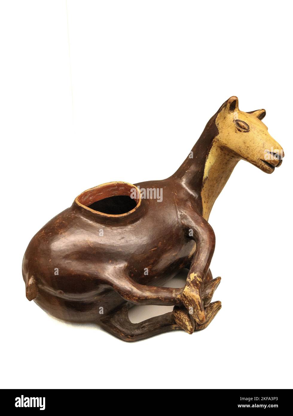 Vaso zoomorfo, ceramica o vaso dal Chimor - regno Inca o Chimu - Inca cultura del Perù. Orizzonte tardo tra il 1470-1532 d.C. Foto Stock