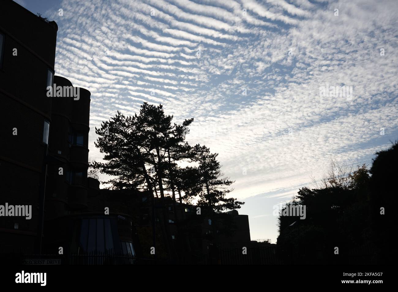 Un gruppo di cime degli alberi sullo sfondo di nuvole suggestive, Hampstead, North London alla fine dell'autunno del 2022. Presa vicino al tramonto Foto Stock