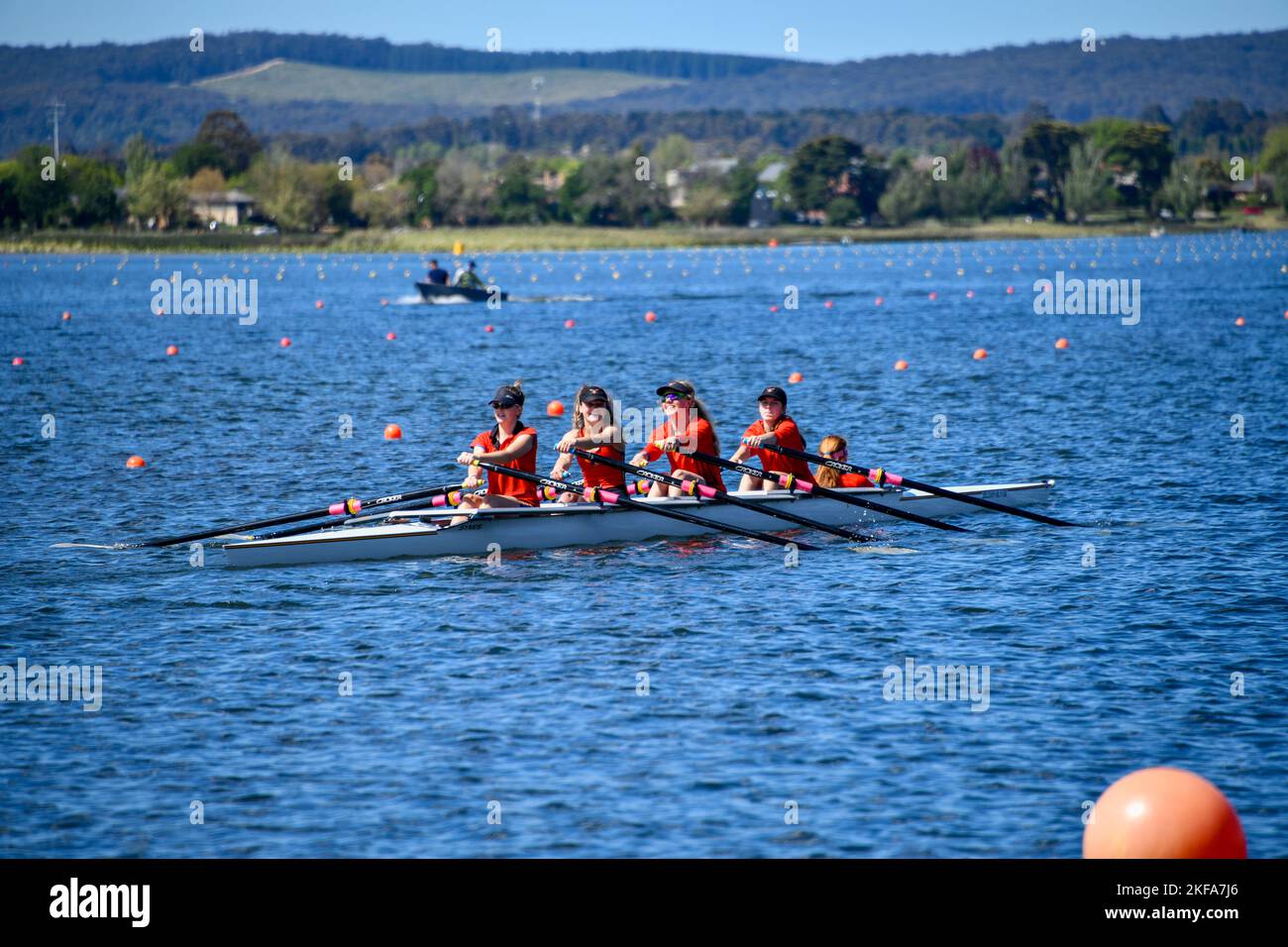 Coxed quattro sul lago in preparazione dei Giochi del Commonwealth - Lago Wendouree, Ballarat, Victoria VIC, Australia Foto Stock