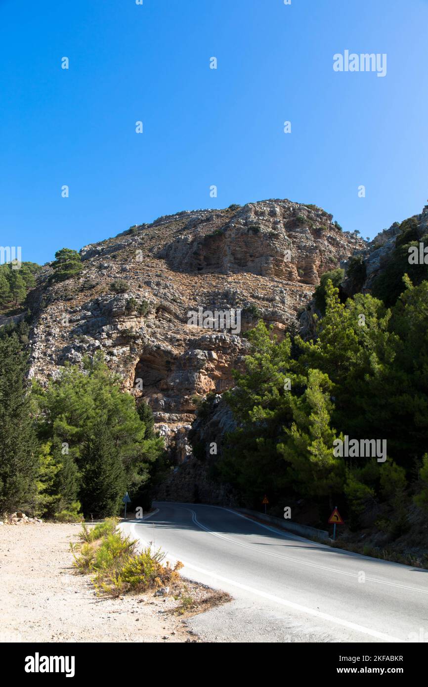 Strada di campagna attraverso il tipico paesaggio greco mediterraneo con colline, abeti e cespugli. Concetto di turismo e vacanza. Isola di Rodi, Grecia. Foto Stock