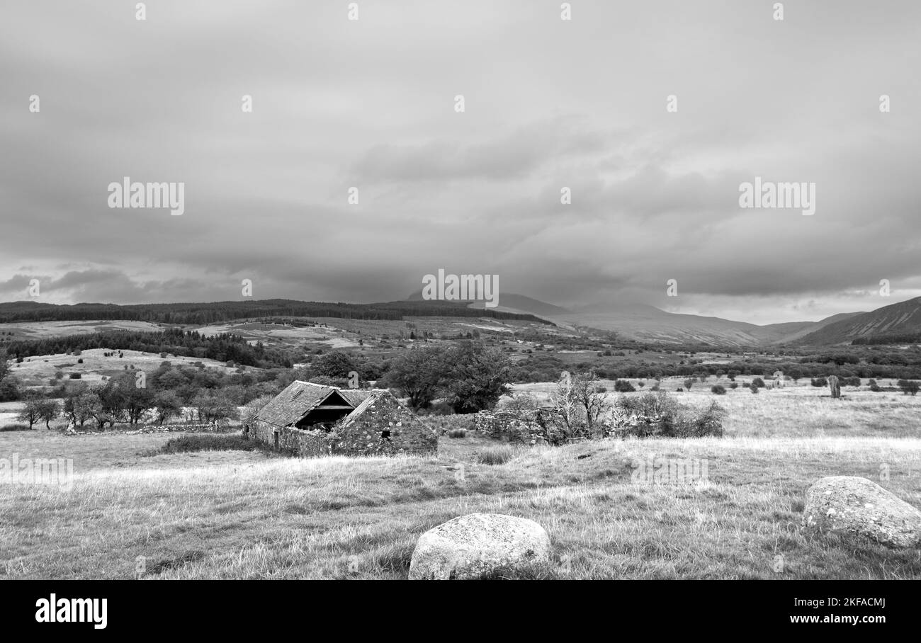 Casale abbandonato con pietre in primo piano, bianco e nero, spazio per copia Foto Stock