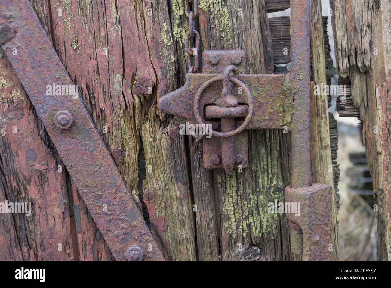 Vecchia cerniera in metallo rustico e serratura su vecchio capannone di legno. Muffa e ruggine sullo sfondo. Foto Stock