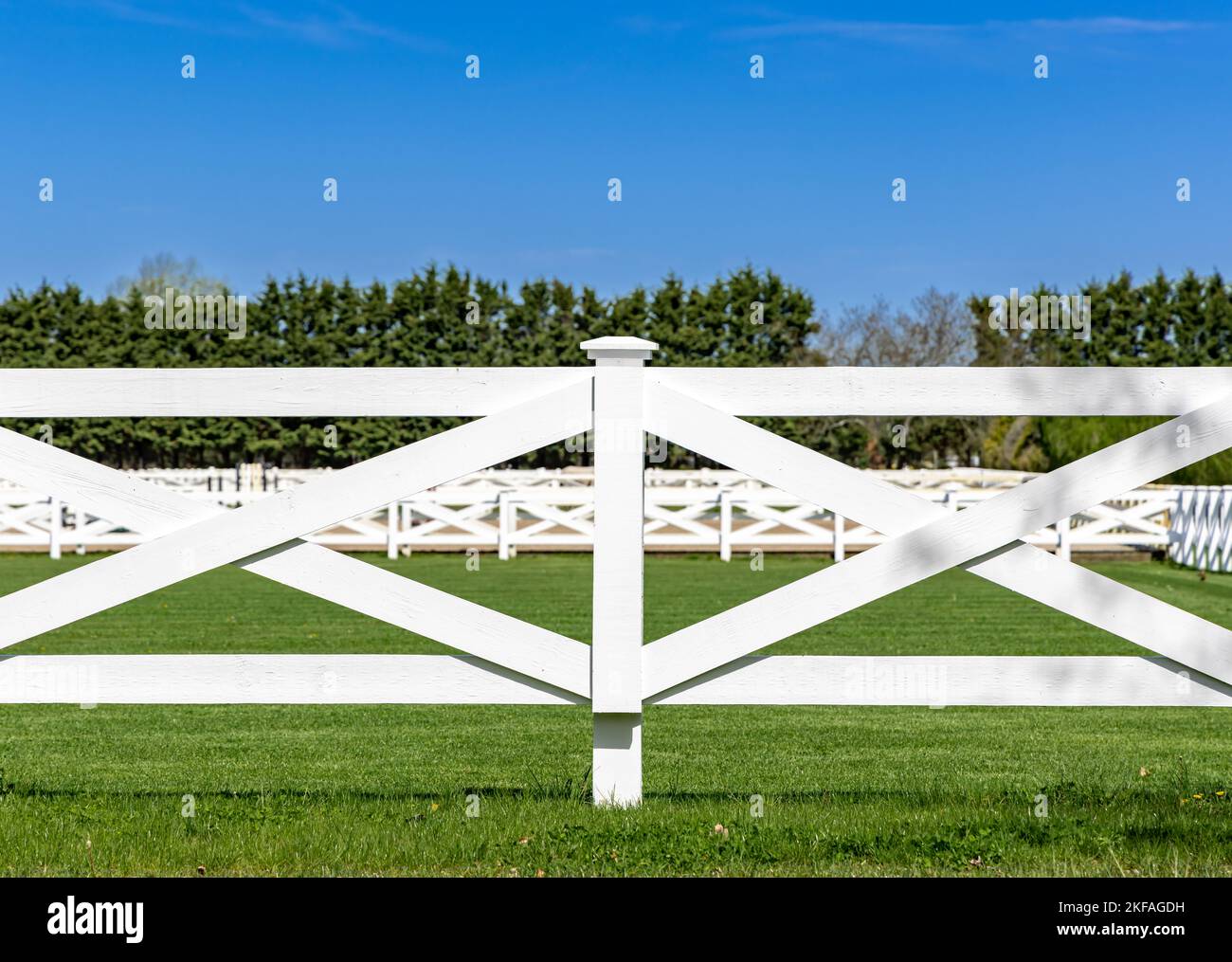 sezione di recinzione bianca a fattoria di cavalli Foto Stock