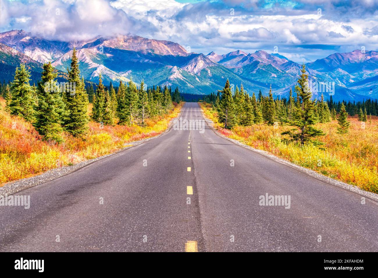 Lunga strada diritta attraverso le montagne del Parco Nazionale di Denali, Alaska Foto Stock