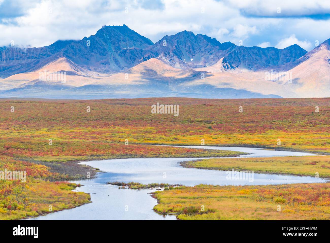 Montagne e tundra dell'Alaska Range lungo l'autostrada Denali Foto Stock