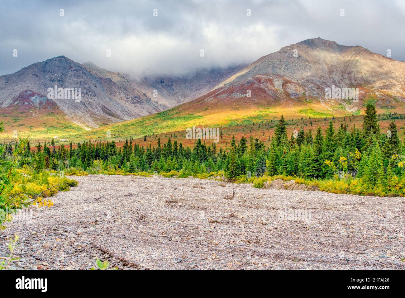 Autunno nelle montagne e tundra del Parco Nazionale di Denali, Alaska Foto Stock