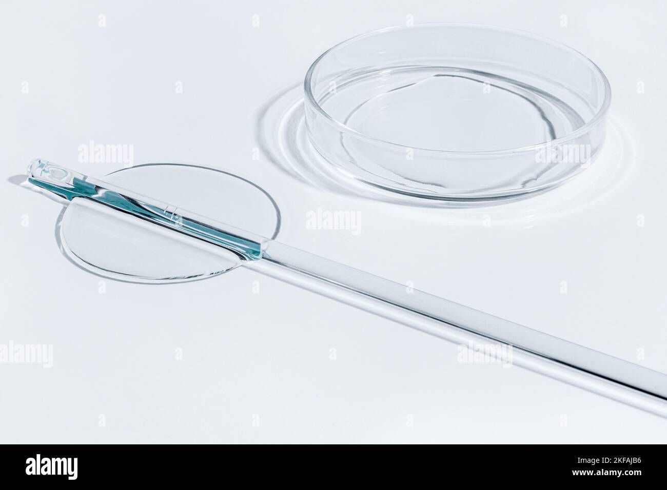 Capsula di Petri, gel, matraccio, vaschetta di cristallizzazione. Laboratorio. Vista dall'alto. Medicina, struttura del gel, bianco, pipetta, campioni, ricerca. Materiale collecti Foto Stock