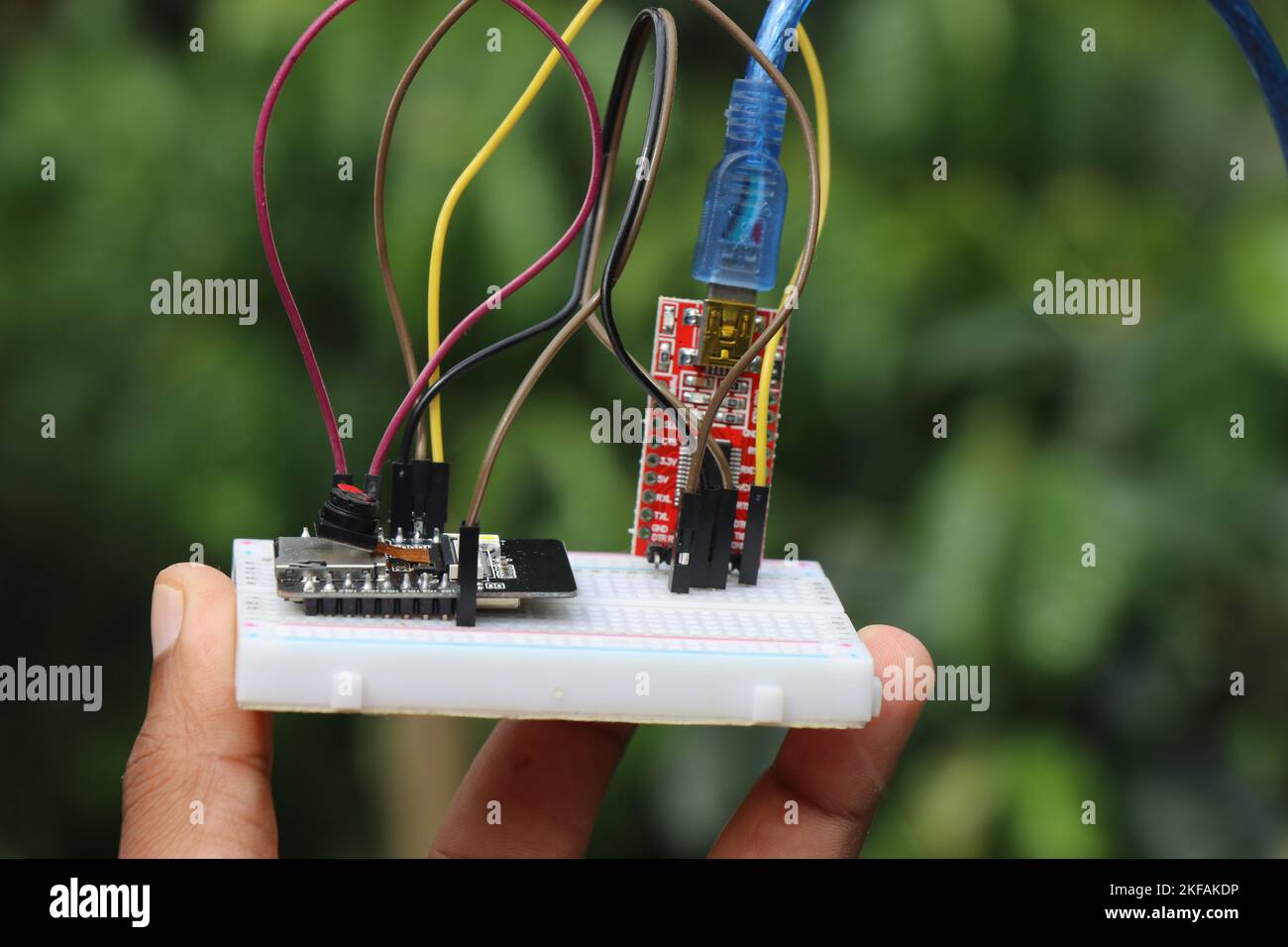 Microcontroller con altri componenti elettronici realizzato come prototipo di alcuni progetti elettronici su una breadboard tenuta in mano Foto Stock