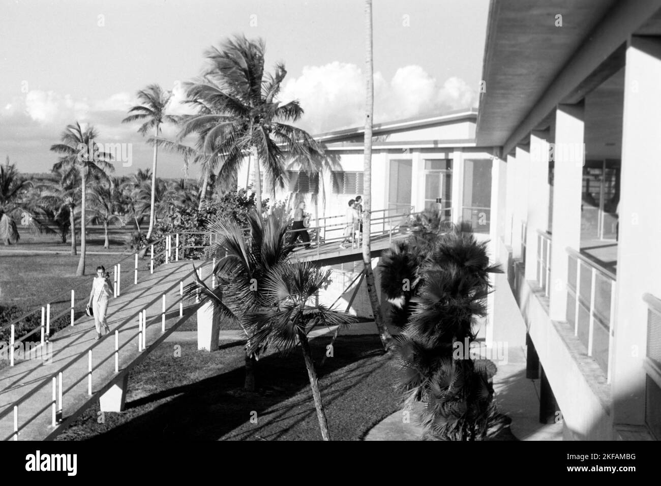 Gebäude zwischen Palmen im Oleta River state Park, Miami, Florida, USA 1965. Edificio tra palme in Oleta River state Park, Miami, Florida, USA 1965. Foto Stock