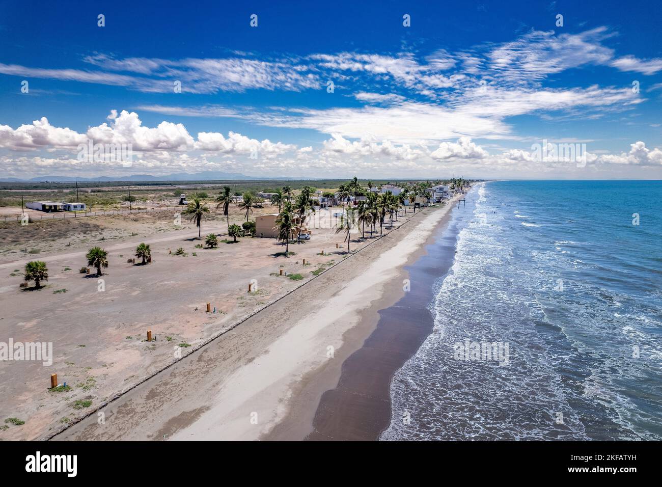 Un'immagine aerea delle palme vicino alla spiaggia sabbiosa con onde schiumose contro un cielo blu Foto Stock