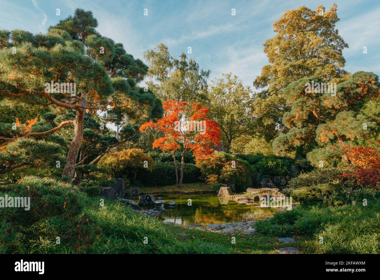 Bellissimo giardino giapponese e alberi rossi al sesone autunnale. Una raffica di colore autunnale con riflessi stagno. Foto Stock