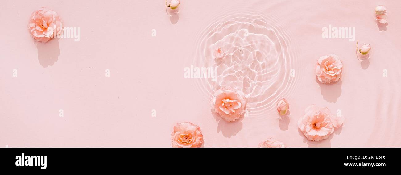 Rosa acqua, trasparente struttura con increspature e gocce e fiori rosa. Acqua sfondo concetto Spa e bellezza sfondo piatto, vista dall'alto, Foto Stock