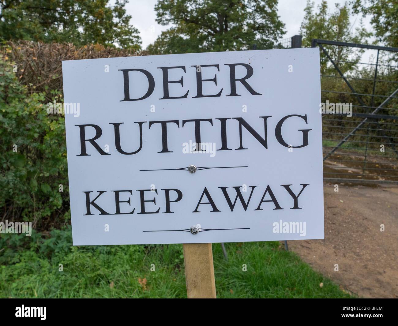 "Capriolo rutting. Tieni il cartello all'ingresso del Great Windsor Park durante la stagione di rutting nell'autunno 2022, Great Windsor Park, Regno Unito. Foto Stock