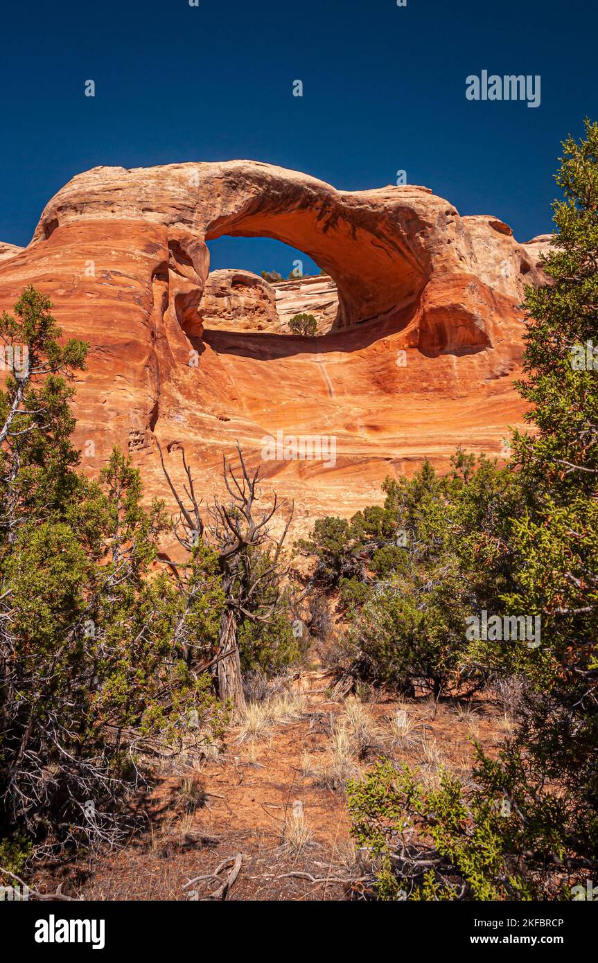 Un bellissimo arco naturale in un canyon remoto del Colorado. Foto Stock