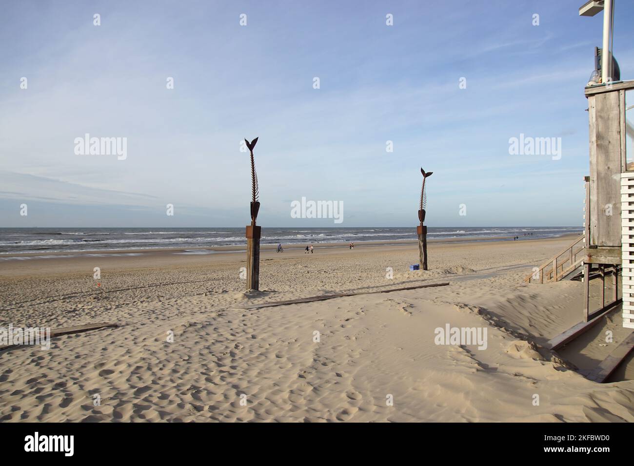 Sculture di acciaio di un corten di un pesce sulla spiaggia di fronte al padiglione della spiaggia Hemingway's. Autunno, novembre. Bergen aan Zee, Paesi Bassi Foto Stock