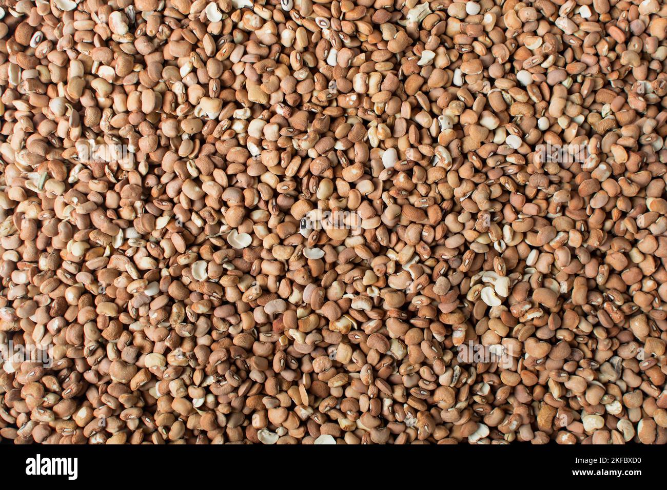 Fagiolini, fagioli pinto, fagioli nigeriani, vista dall'alto dei fagioli Foto Stock