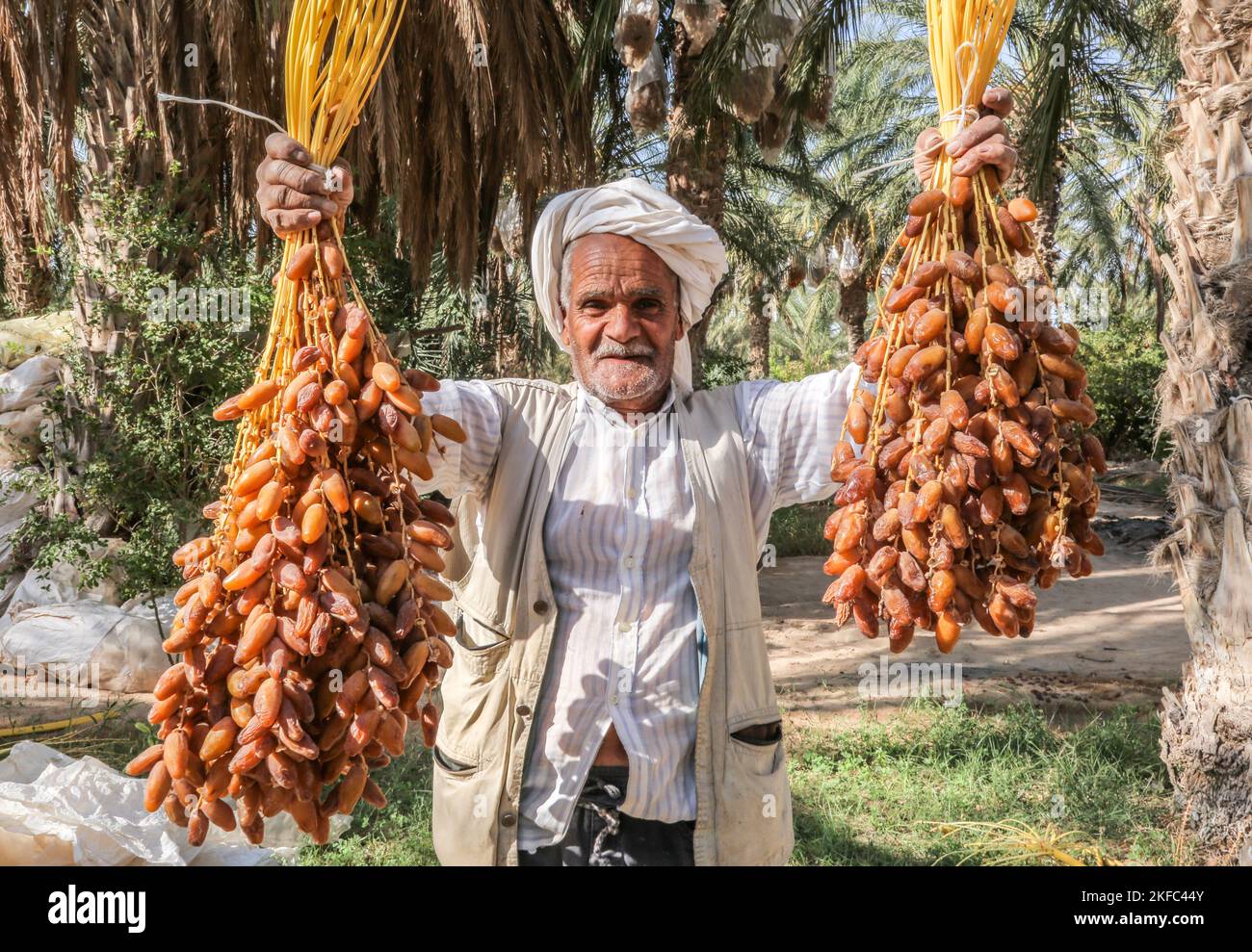 Kebili Dates Cluster è un gruppo di tre esportatori di date nel governatorato di Kebili. POSTI DI LAVORO hanno aiutato queste aziende -- Sonab CED, Sté ben Moussa e Cie, e Sté Laariba - a raggiungere nuovi clienti internazionali, portando a 89 nuovi posti di lavoro e un aumento del 35% delle vendite. Le aziende avevano ottenuto singolarmente i pre-ordini con acquirenti negli Stati Uniti, in Canada, in Francia e in Italia, ma dovevano soddisfare gli standard internazionali di sicurezza alimentare per finalizzare questi ordini. I POSTI DI LAVORO hanno fornito assistenza tecnica congiunta alle tre aziende per aiutarli ad ottenere la certificazione di sicurezza alimentare richiesta (ISO 22000). Foto Stock
