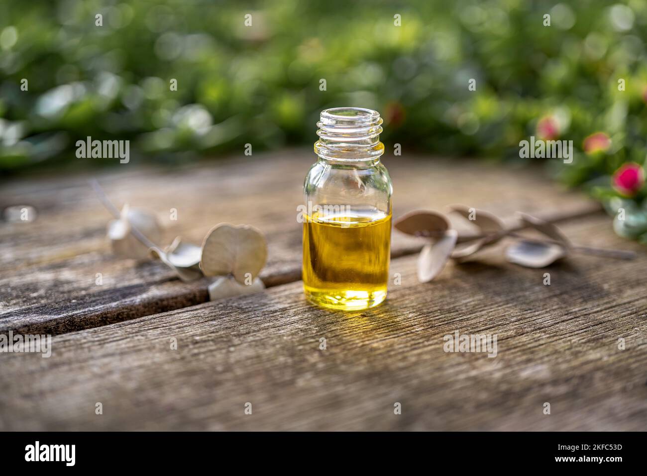 Olio essenziale in una piccola bottiglia di vetro con rametti di eucalipto su un tavolo di legno e fondo verde sfocato. Messa a fuoco selettiva e spazio di copia per il testo. Na Foto Stock