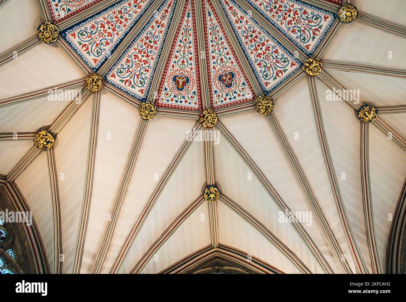 Fan - soffitto a volta della Chapter House, York Minster, North Yorkshire, Inghilterra Foto Stock