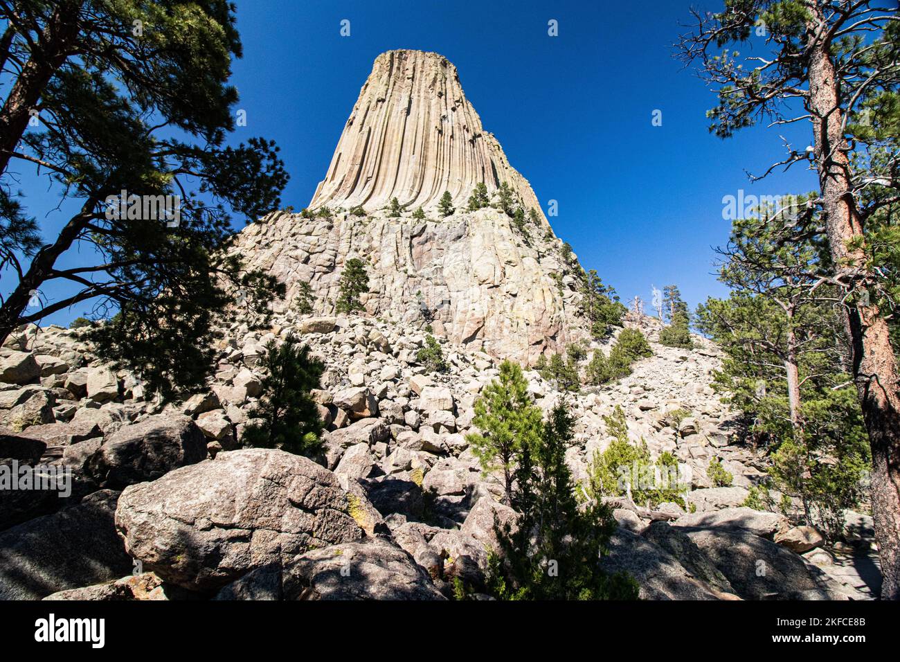 Il monumento nazionale della Devils Tower negli Stati Uniti Foto Stock