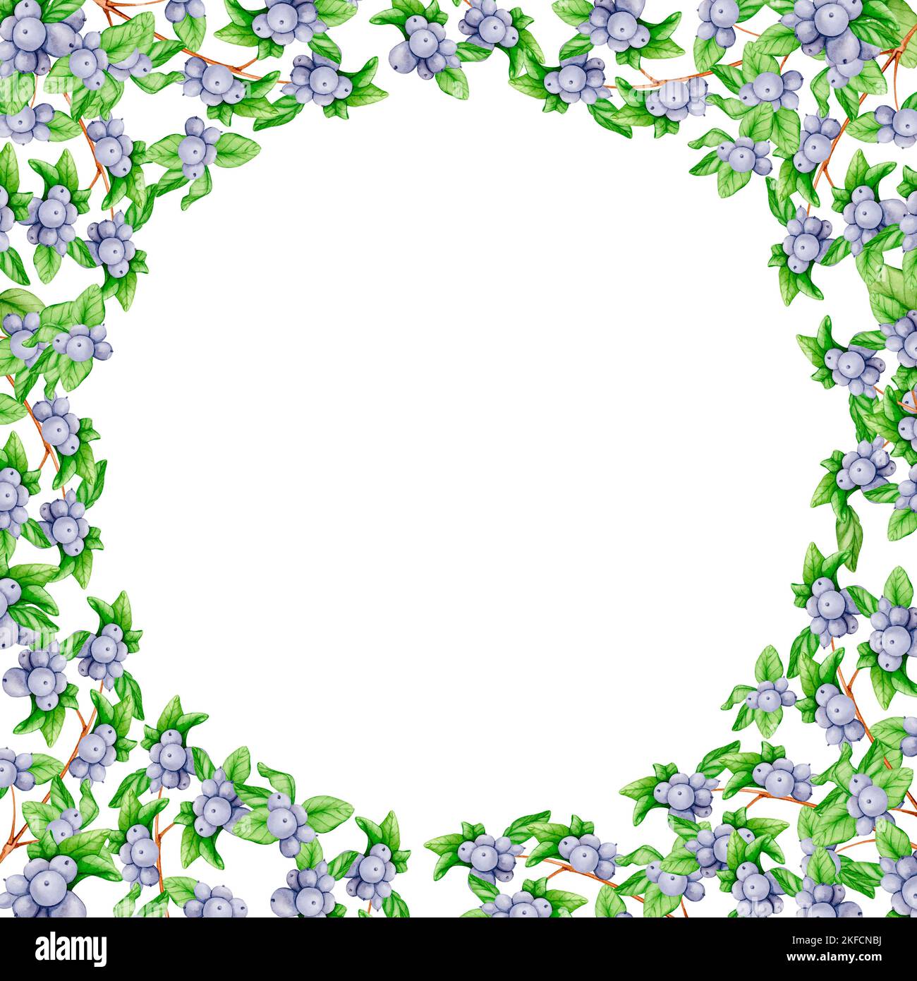 Struttura rotonda in rami con bacche nere. Illustrazioni acquerello per Natale, Capodanno, compleanno, matrimonio. Design per cartoline, invito Foto Stock