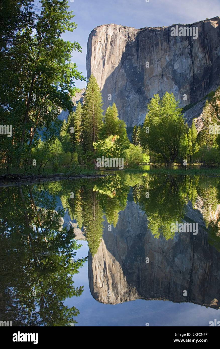 CA, Yosemite NP, El Capitan riflessa nel fiume Merced Foto Stock