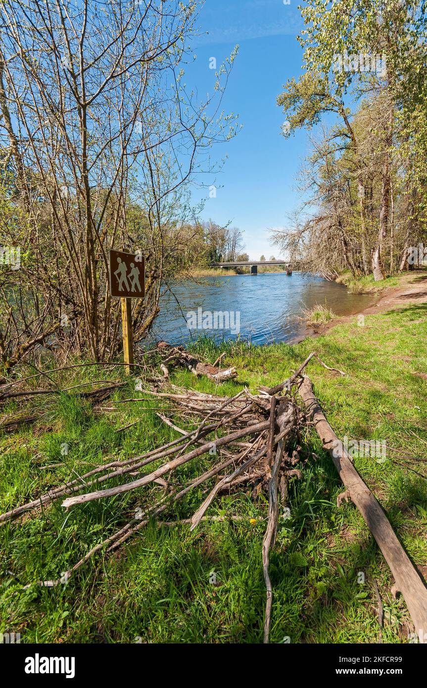 Cartello escursionistico e driftwood a Hendricks Park vicino al fiume McKenzie, Springfield, Oregon. Il ponte sul fiume McKenzie è sullo sfondo. Foto Stock