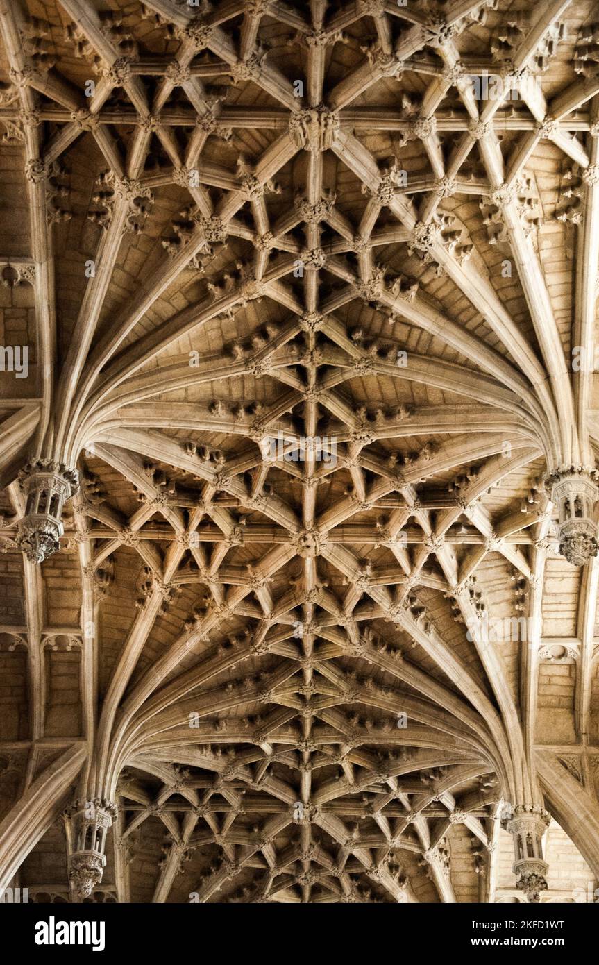 Fan che vaulting in Christ Church Cathedral, Oxford, Inghilterra Foto Stock