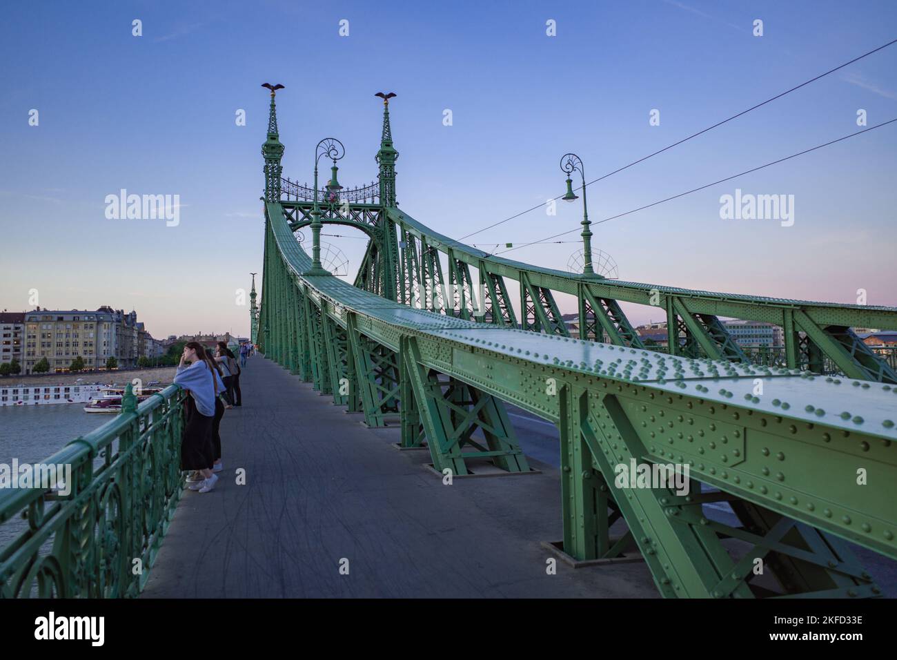 La gente che guarda il Danubio da sopra il Ponte della libertà a Budapest, Ungheria Foto Stock