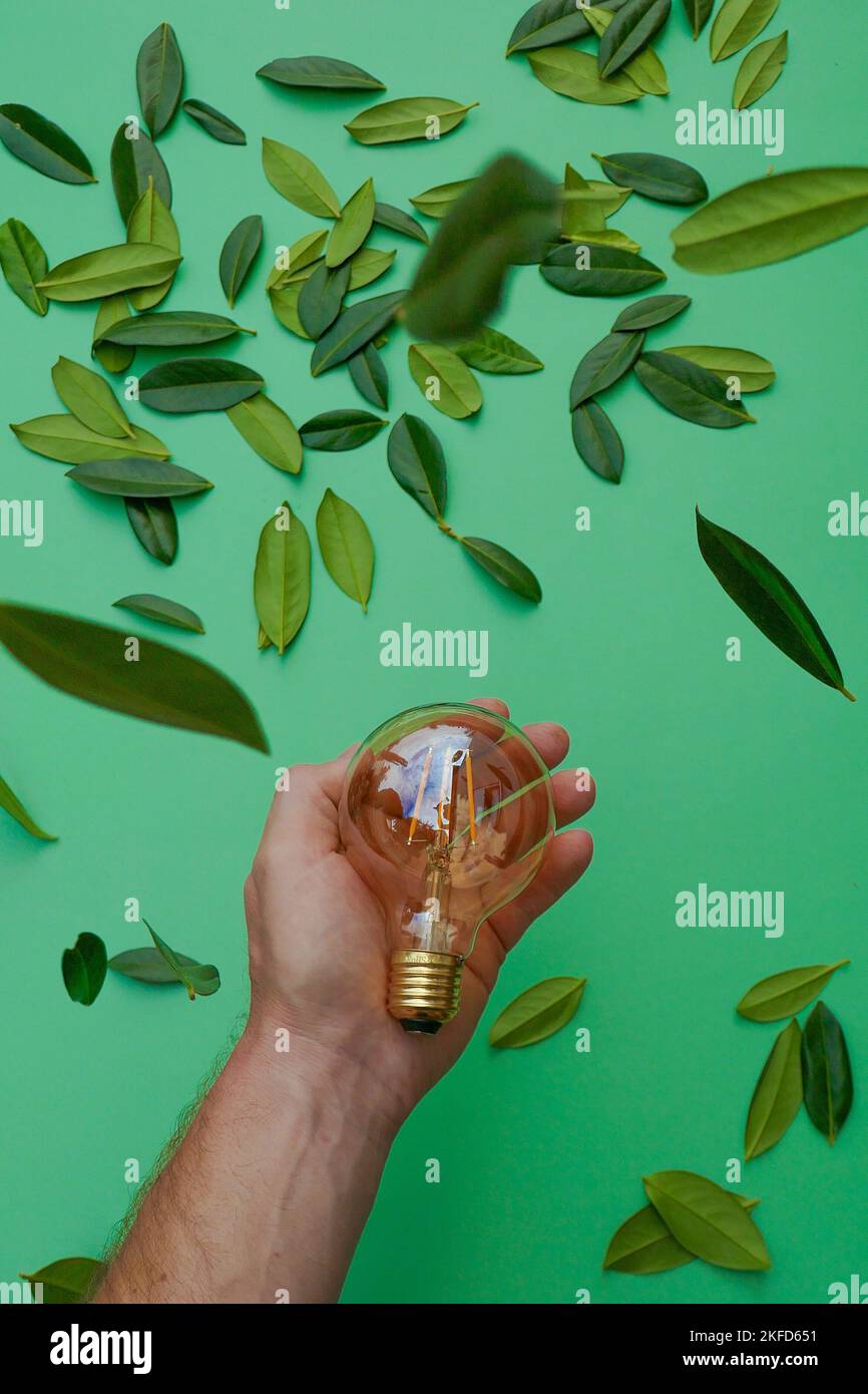 Elettricità e energia verde. Fonte di energia verde. Lampadina in una mano maschio e foglie verdi su un fondo verde. Fonti di energia naturale alternative Foto Stock