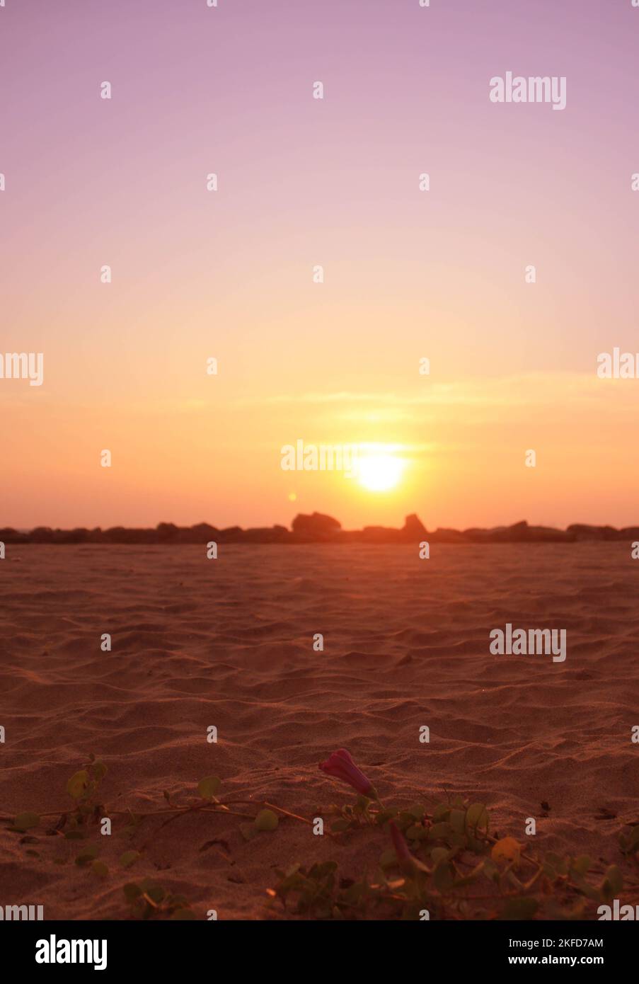 Splendidi tramonti sulla spiaggia, visita lo Sri Lanka. Foto Stock