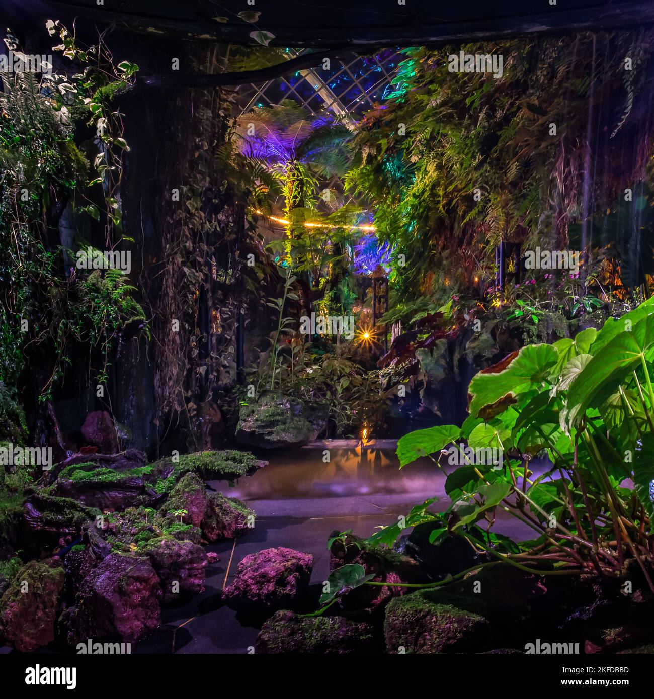 Avatar - l'esperienza a Clouds Forest, Gardens by the Bay, Singapore. Foto Stock