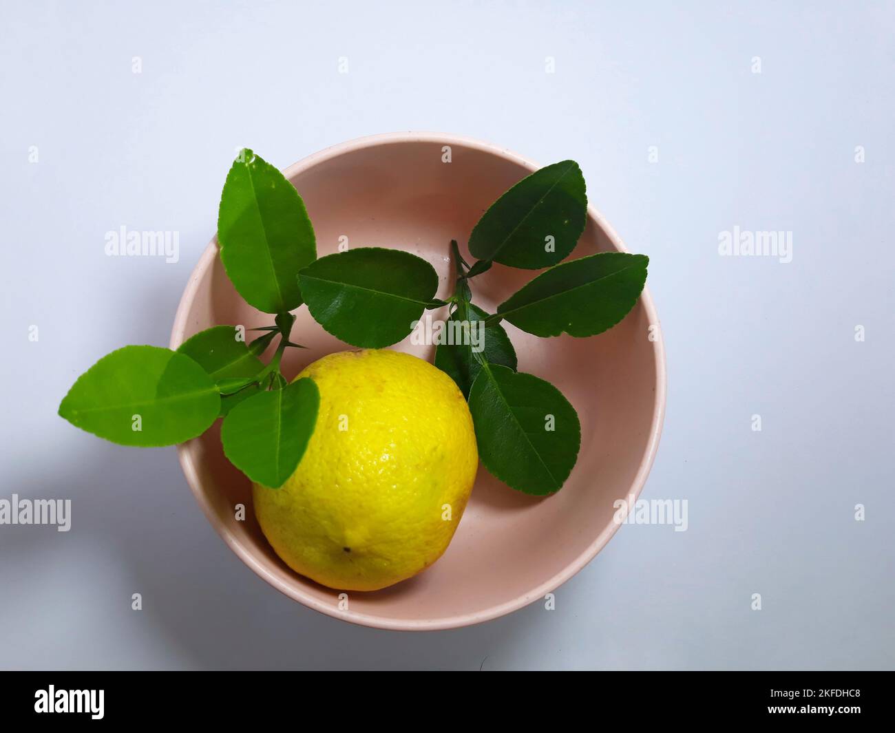 Primo piano isolato su erbe bianche, spezie aglio, cipolla, peperoncino, foglia di lime e pomodoro su recipiente rosa. Ingrediente condimento per cibo di cottura Foto Stock Primo piano isolato su erbe bianche, spezie aglio, cipolla, peperoncino, foglia di lime e pomodoro su recipiente rosa. Ingrediente condimento per cibo di cottura Foto Stock
