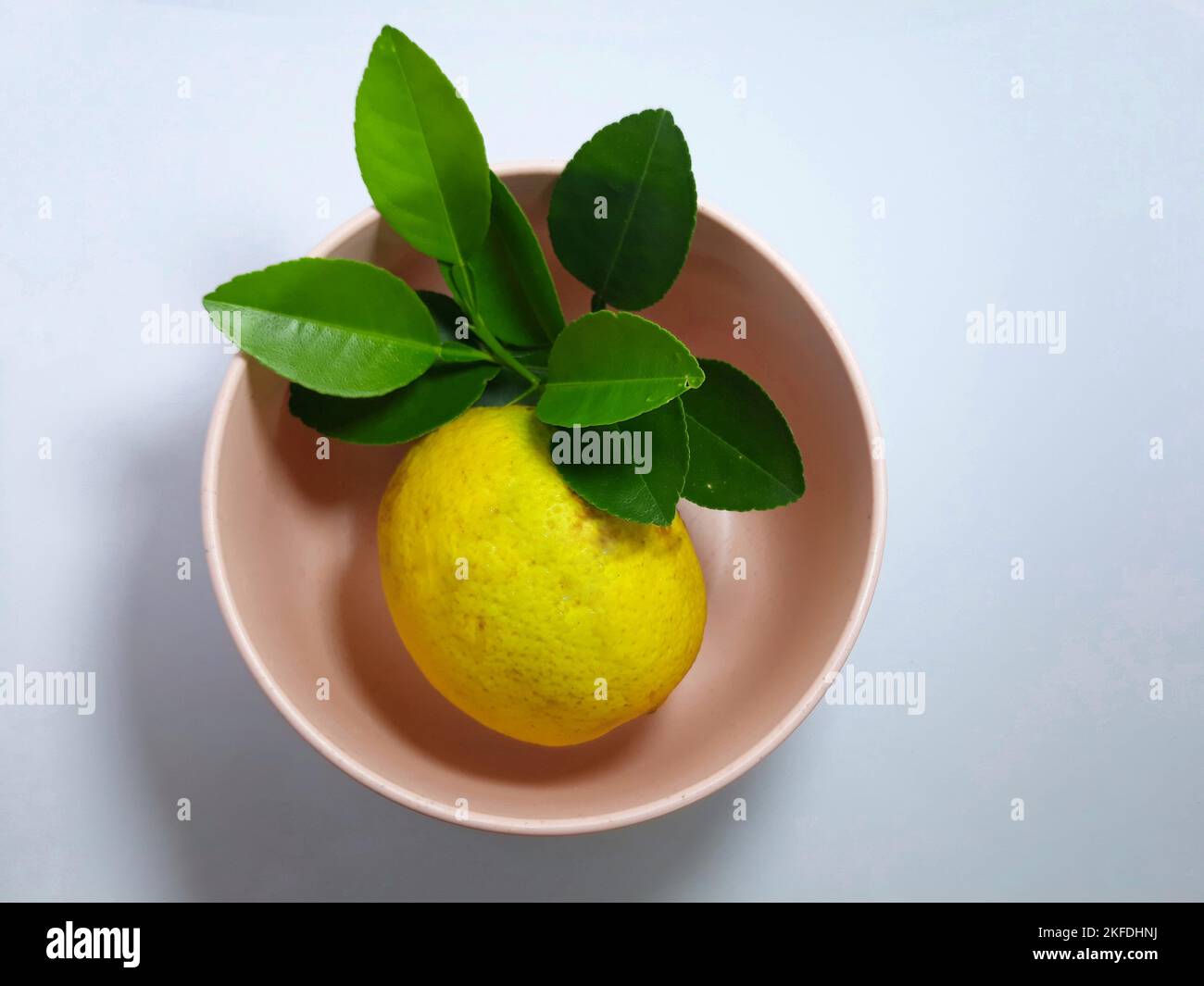 Primo piano isolato su erbe bianche, spezie aglio, cipolla, peperoncino, foglia di lime e pomodoro su recipiente rosa. Ingrediente condimento per cibo di cottura Foto Stock Primo piano isolato su erbe bianche, spezie aglio, cipolla, peperoncino, foglia di lime e pomodoro su recipiente rosa. Ingrediente condimento per cibo di cottura Foto Stock