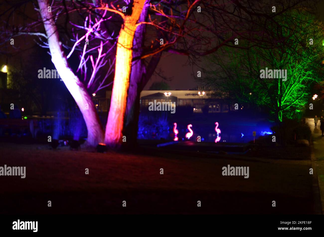 Neon Flamingo sul lago al Light Art Festival di Gruga Essen in Germania Foto Stock