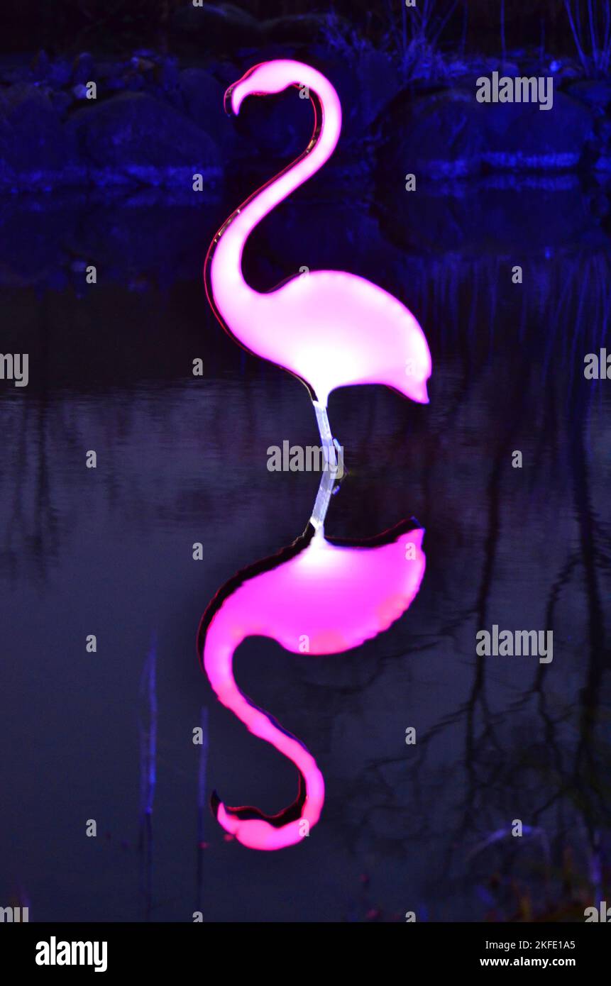 Neon Flamingo sul lago al Light Art Festival di Gruga Essen in Germania Foto Stock