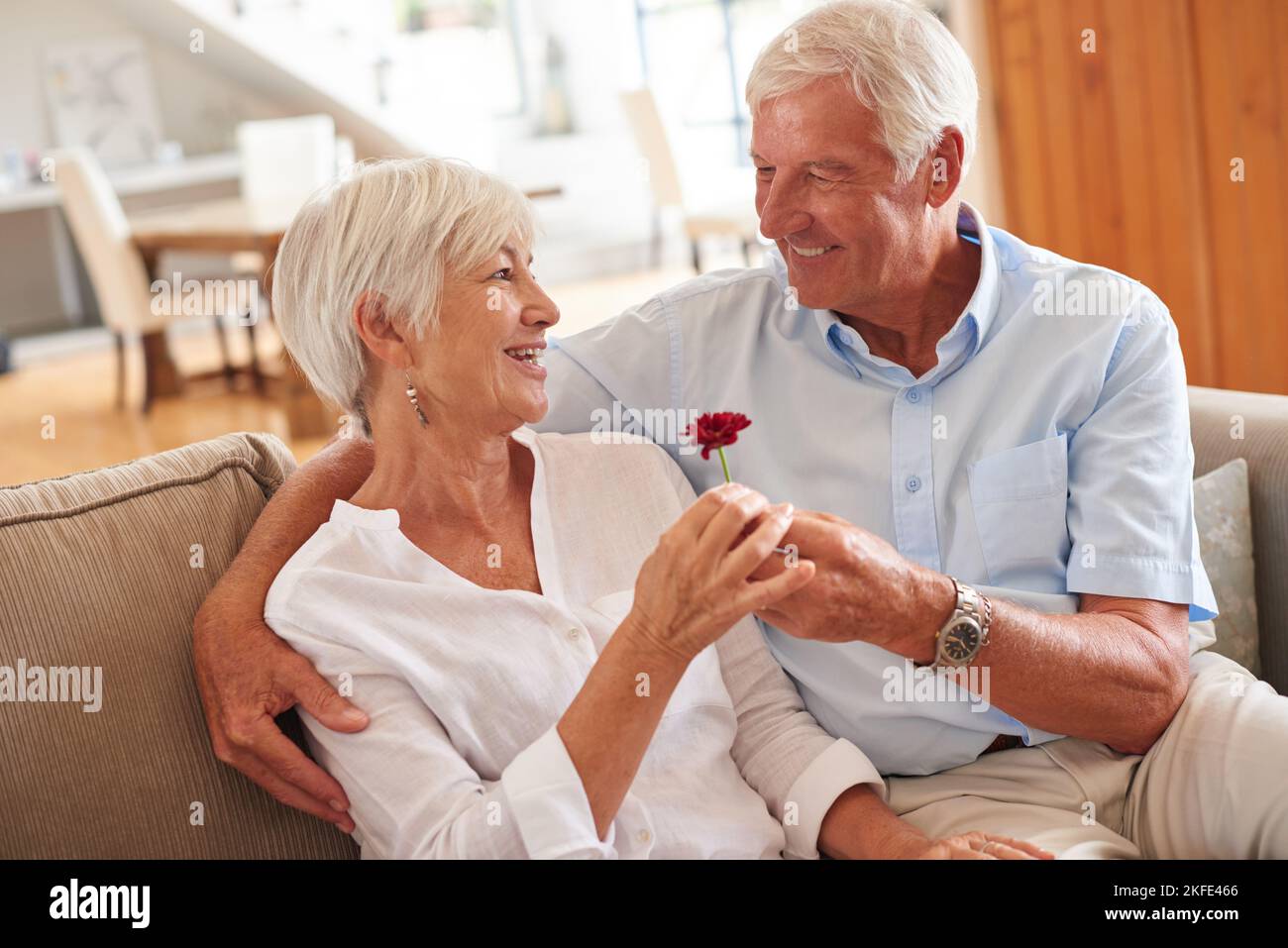 Sarete sempre il mio sempre. Un uomo anziano che dà alla moglie un fiore. Foto Stock