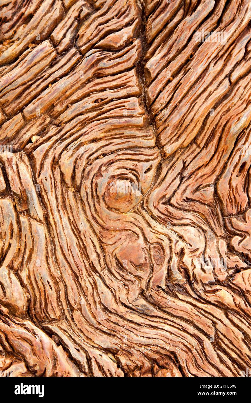 Primo piano di legno pietrificato trovato nelle regioni dello Utah e dell'Arizona dell'America Foto Stock