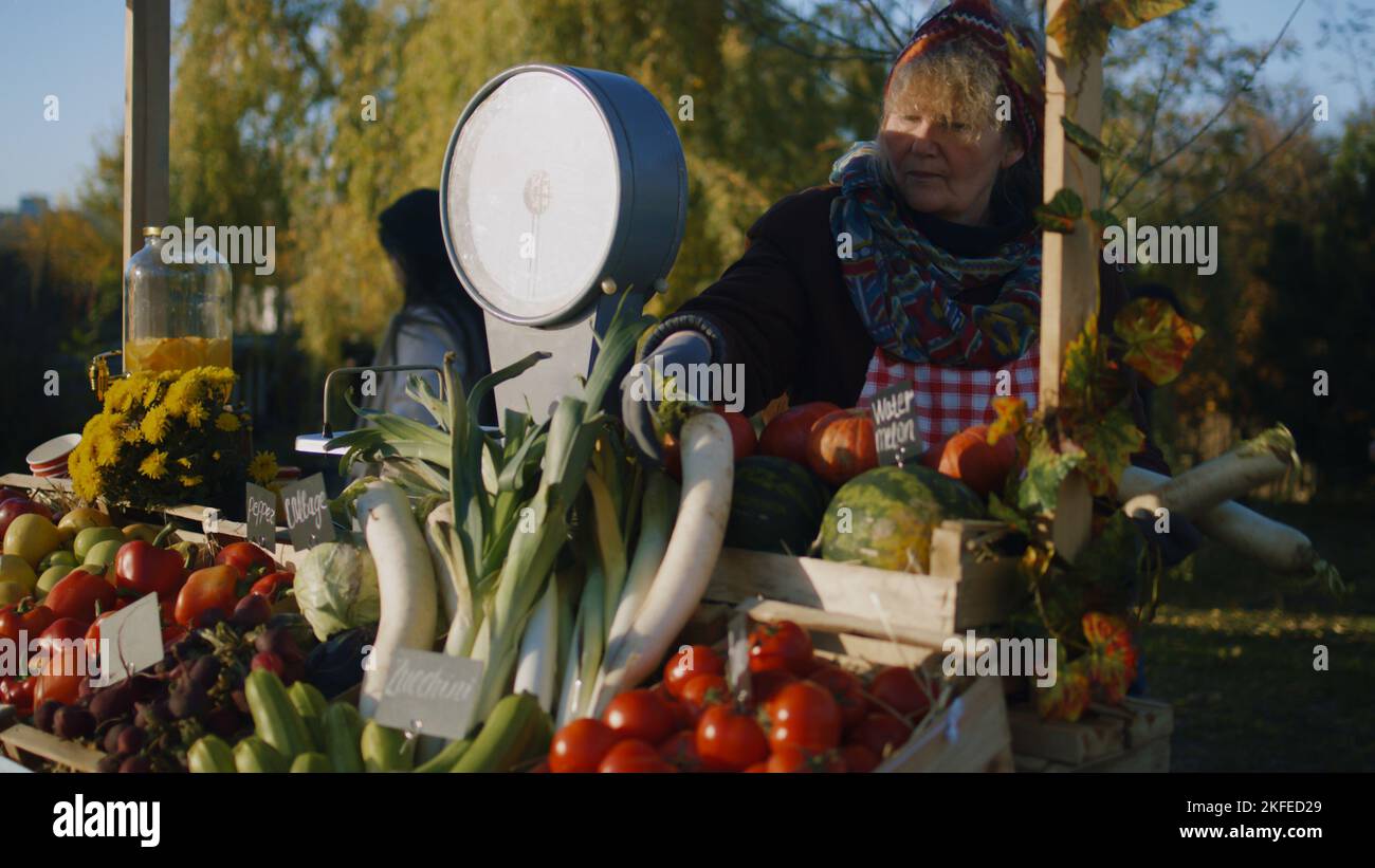 Il coltivatore presenta frutta e verdura. Il proprietario del punto vendita non vede l'ora di iniziare una giornata lavorativa produttiva. La donna anziana si occupa del lavoro preferito. Cibo vegetariano e biologico. Agricoltura. Foto Stock