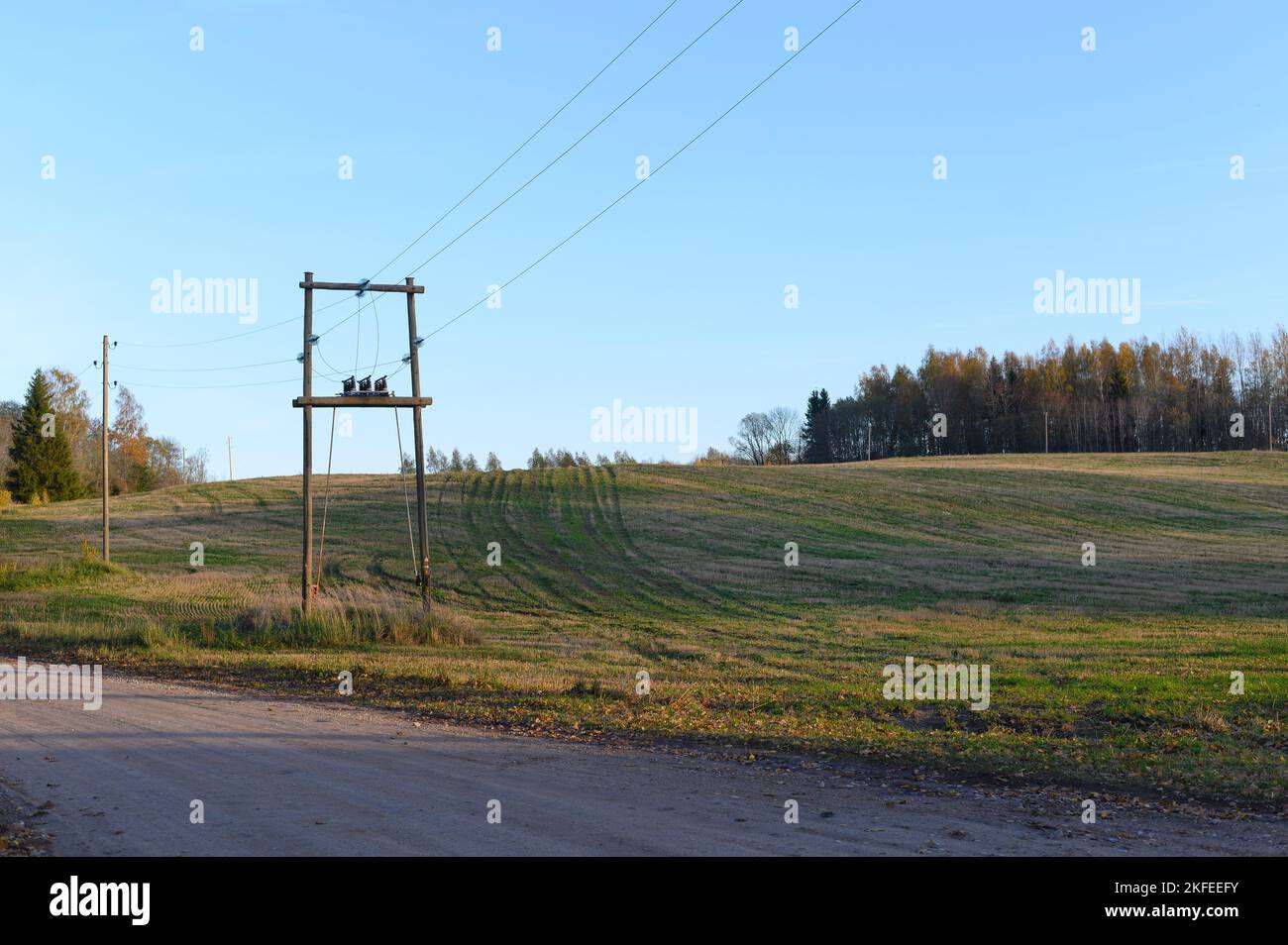 Pali di linea della rete elettrica su campo e cielo di fondo in autunno Foto Stock