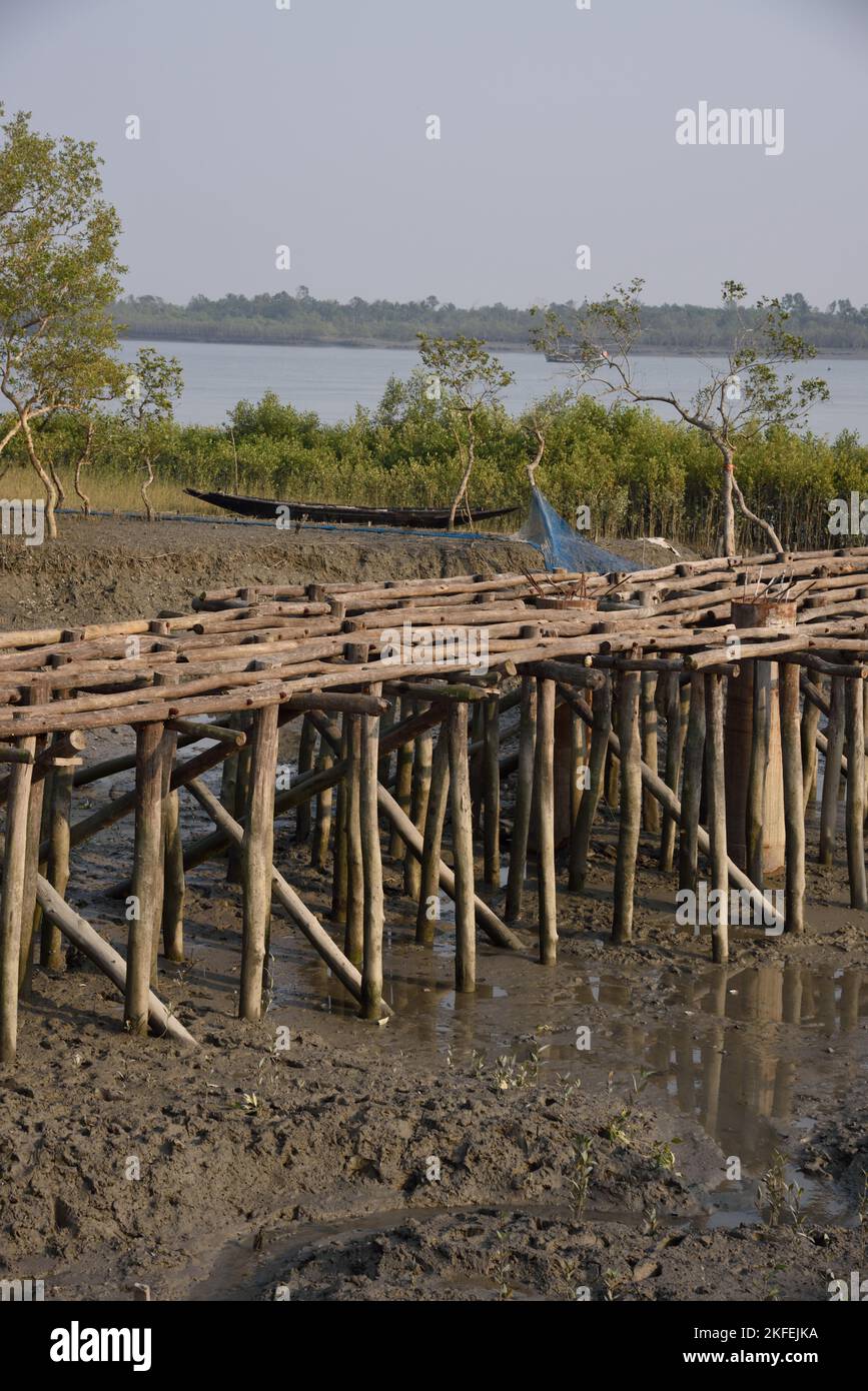 Molo di bambù, Pakhiralay, Gosaba, Sunderban, Sud 24 Pargana, Bengala Occidentale, India Foto Stock