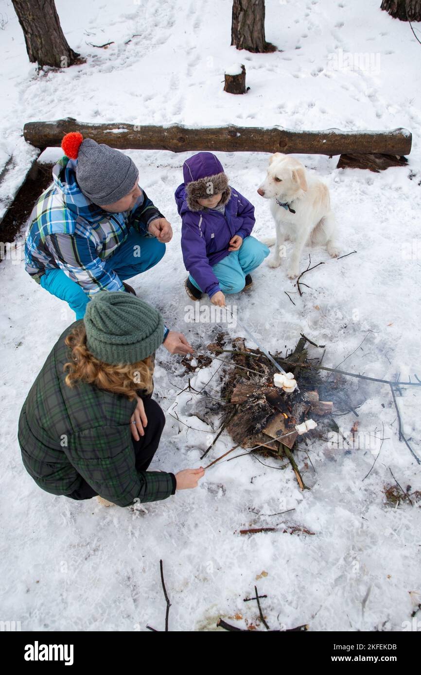 picnic invernale per famiglie. Genitori felici, bambino, cane bianco sedersi intorno ad un fuoco nella foresta e marshmallows arrosto durante una passeggiata di fine settimana di inverno. Inverno Foto Stock