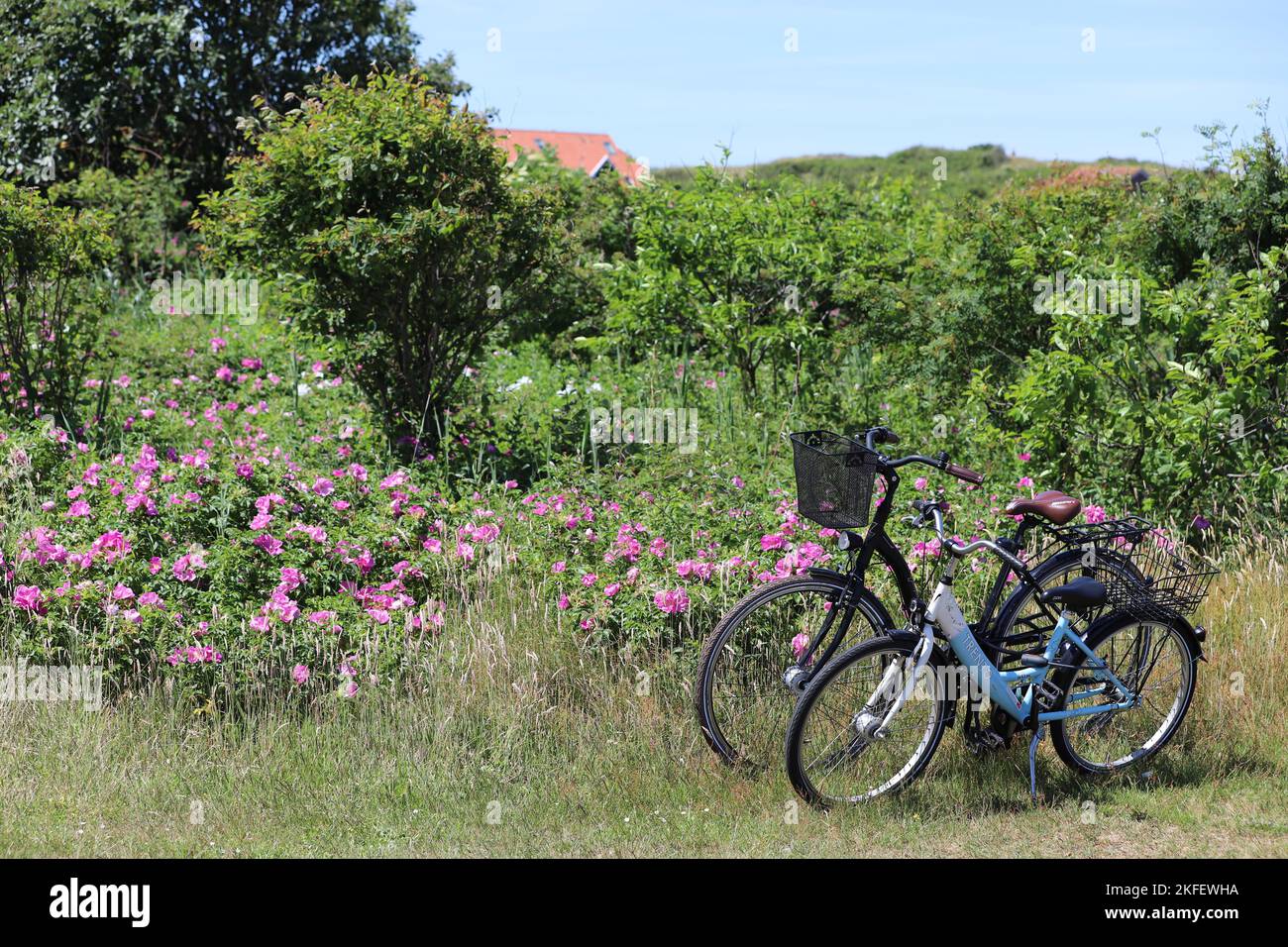 Fahrräder auf Langeoog Foto Stock