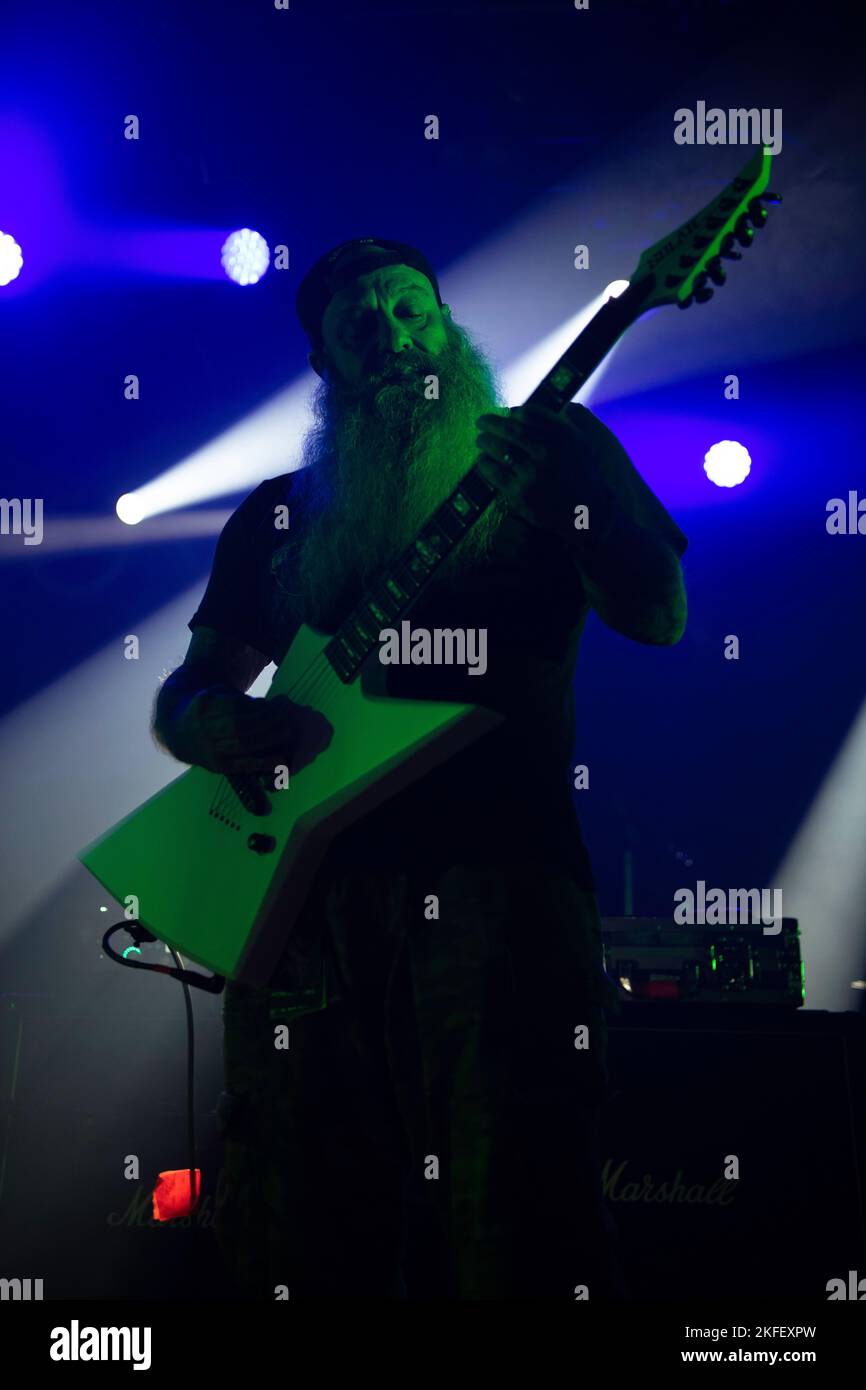 Cantante di piede di porco immagini e fotografie stock ad alta