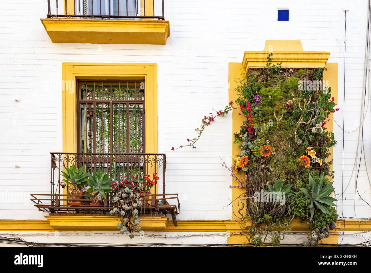 Balconi splendidamente decorati con fiori in vaso nel centro storico di Siviglia Foto Stock