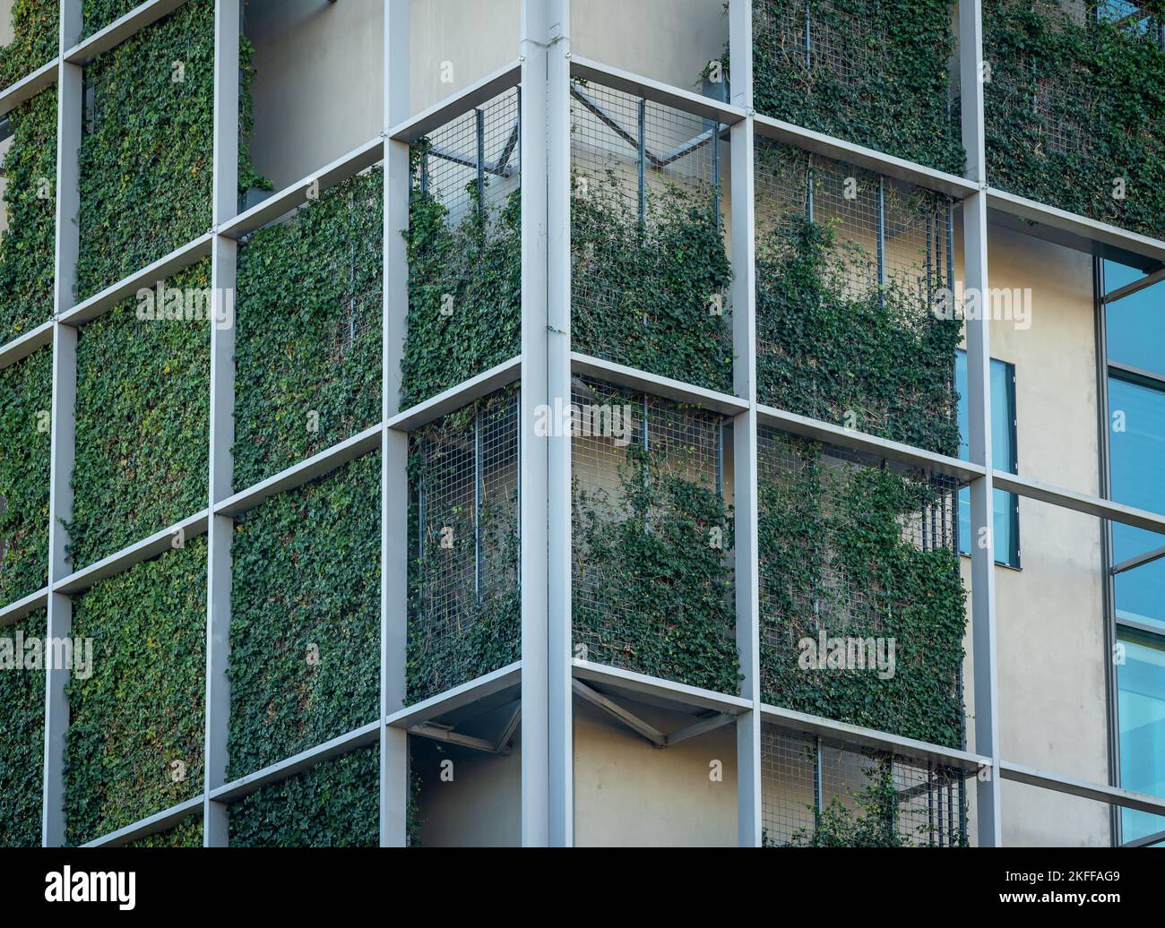 Verde, parete vivente di moderno edificio di uffici, utilizzando griglia metallica e impianti di arrampicata per l'ecologizzazione urbana Foto Stock